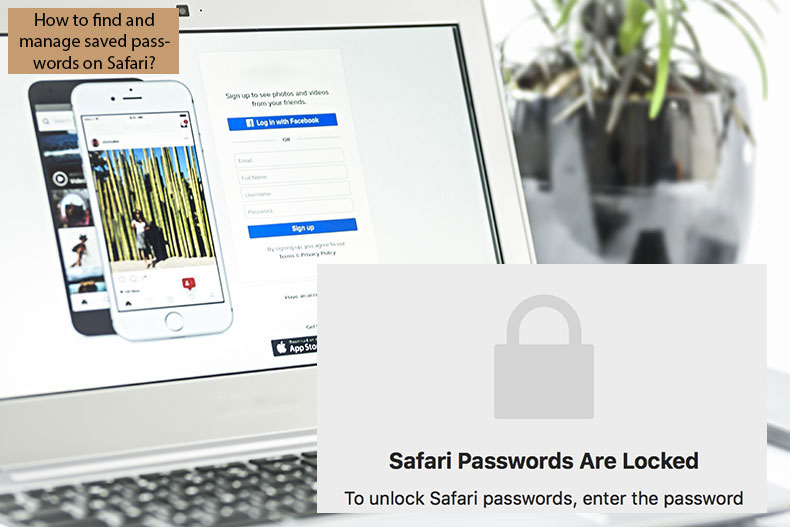 how to find saved passwords on mac